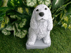 Cocker Spaniel Concrete Statue 5x6x9" High