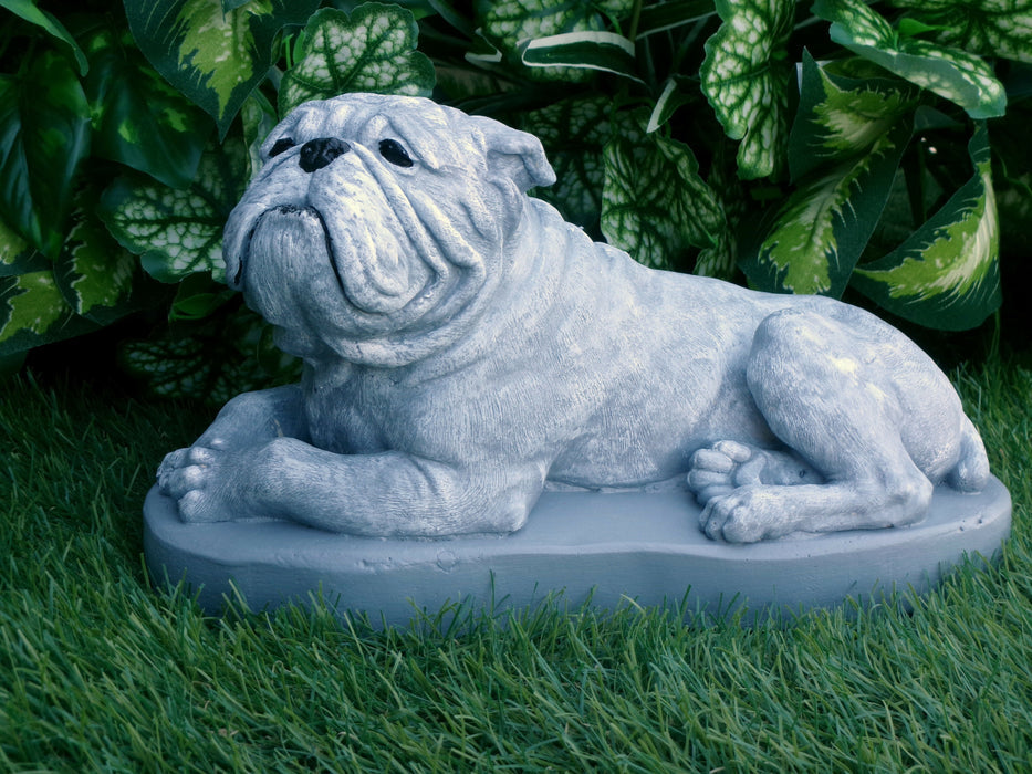 Bulldog Statue 5 x 10 x 6" high Concrete Statue