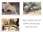 Giraffe Photography Greeting Card