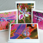 Blank Pop Art Note Card Set for the Gardener, Nature Lover or Art Lover