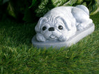 Pug Dog Concrete Statue 9x5x3" high