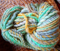 Bahama 77 yards Handspun 2 ply yarn bulky bright squishy