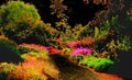 Original Landscape Photo 8x10 matted to 11x14