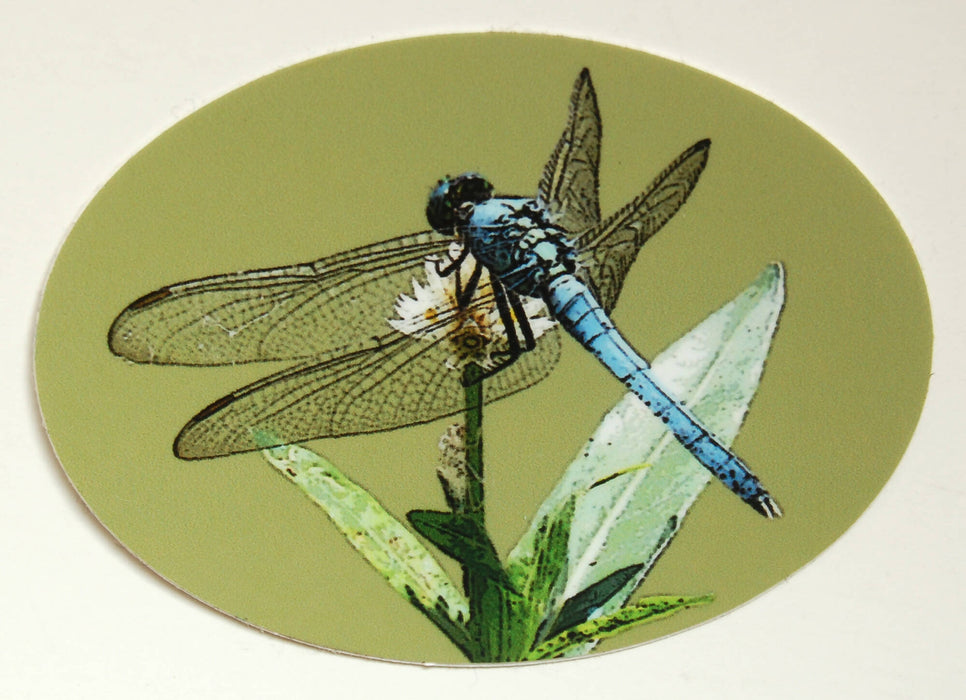 Nature Lover Vinyl Sticker