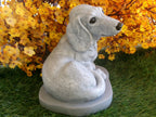 Dachshund Dog Concrete 5-1/2 x 7-1/2 x 7-1/4" High