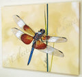 16x20 Canvas Photographic Art Bird or Dragonfly Wall Decor