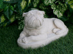 Bulldog Statue 5 x 10 x 6" high Concrete Statue
