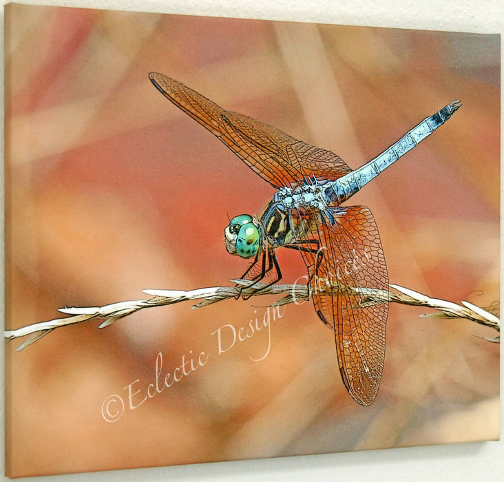 16x20 Canvas Photographic Art Bird or Dragonfly Wall Decor
