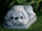 Pug Dog Concrete Statue 9x5x3" high