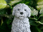 Cockapoo Concrete Statue 4.5x6.8.25" High