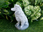 Border Collie Statue 4x5x75" High Solid Concrete