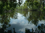 Original Landscape Photo 8x10 matted to 11x14