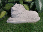 Keeshond Dog Concrete Statue 5x10x6" High