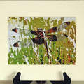 Dragonfly Photographic Art Prints