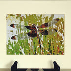 Dragonfly Photographic Art Prints