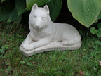 Concrete Husky Statue 11 x 5 x 7" High