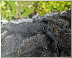 Flora and Fauna Photographic Art Gallery Wrapped Canvas Prints