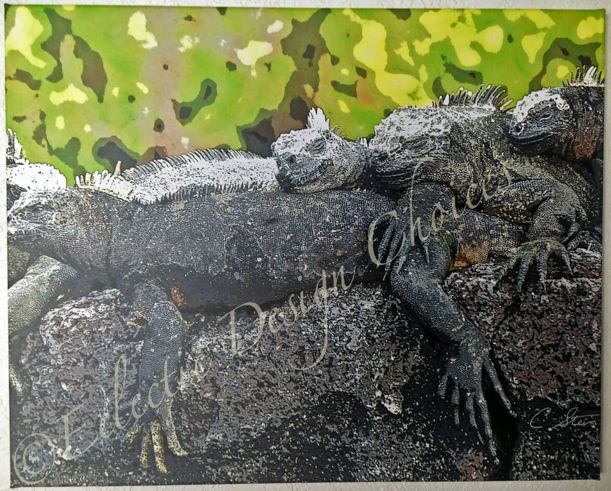 Flora and Fauna Photographic Art Gallery Wrapped Canvas Prints