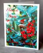 Flying Pig Holiday Cards