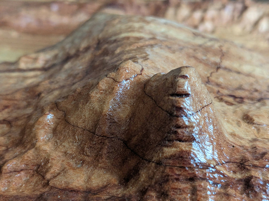 Mars Gale Crater Carving in Cedar
