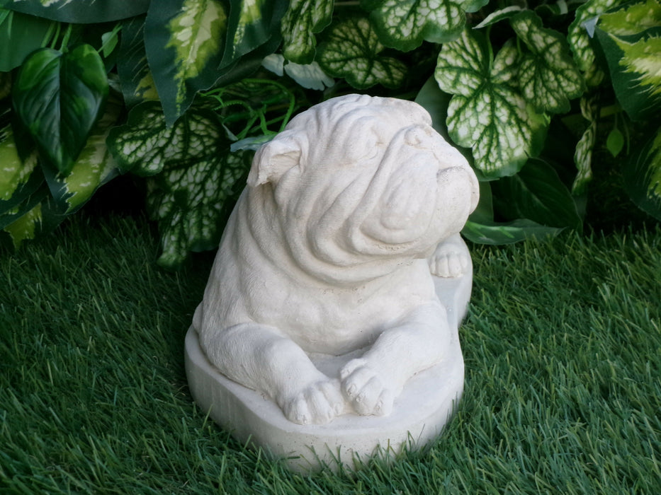 Bulldog Statue 5 x 10 x 6" high Concrete Statue