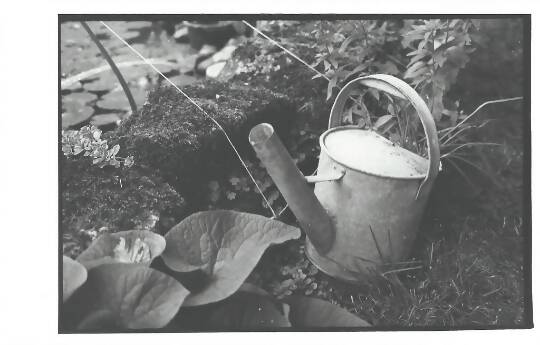 Arrosoir argentique - silver watering can