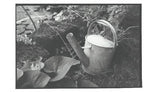 Arrosoir argentique - silver watering can
