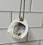 Natural Seashell Resin Ocean Ornament - Your choice!