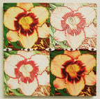 Flora and Fauna Photographic Art Gallery Wrapped Canvas Prints