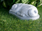 Pug Dog Concrete Statue 9x5x3" high