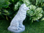 Border Collie Statue 4x5x75" High Solid Concrete