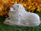 Keeshond Dog Concrete Statue 5x10x6" High