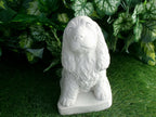 Cocker Spaniel Concrete Statue 5x6x9" High