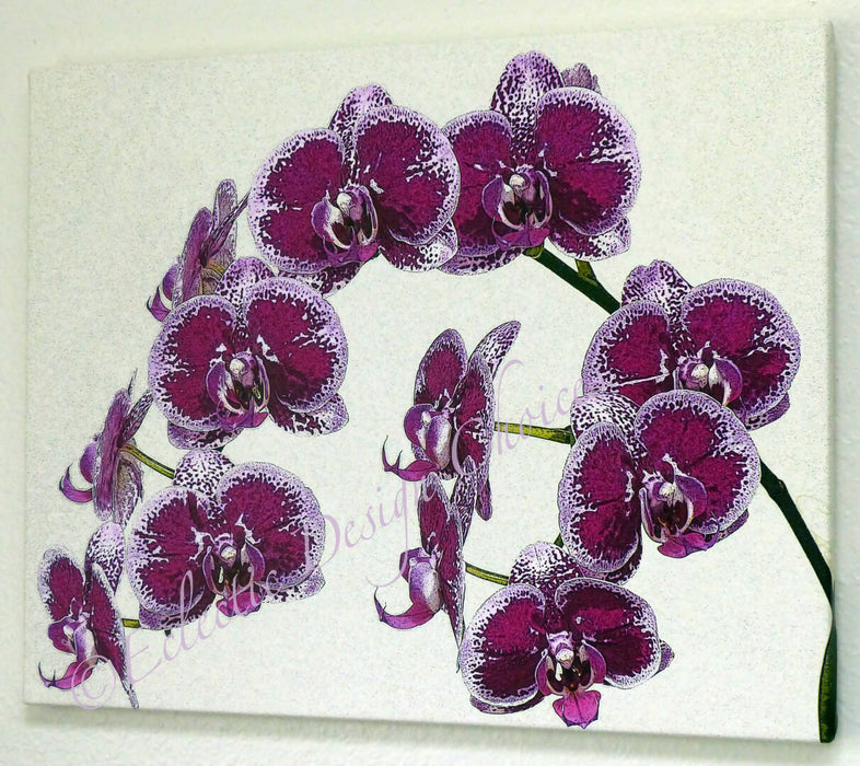 Flora and Fauna Photographic Art Gallery Wrapped Canvas Prints