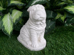 Shar-Pei Dog Concrete Statue 4.75 x 7 x 8" High