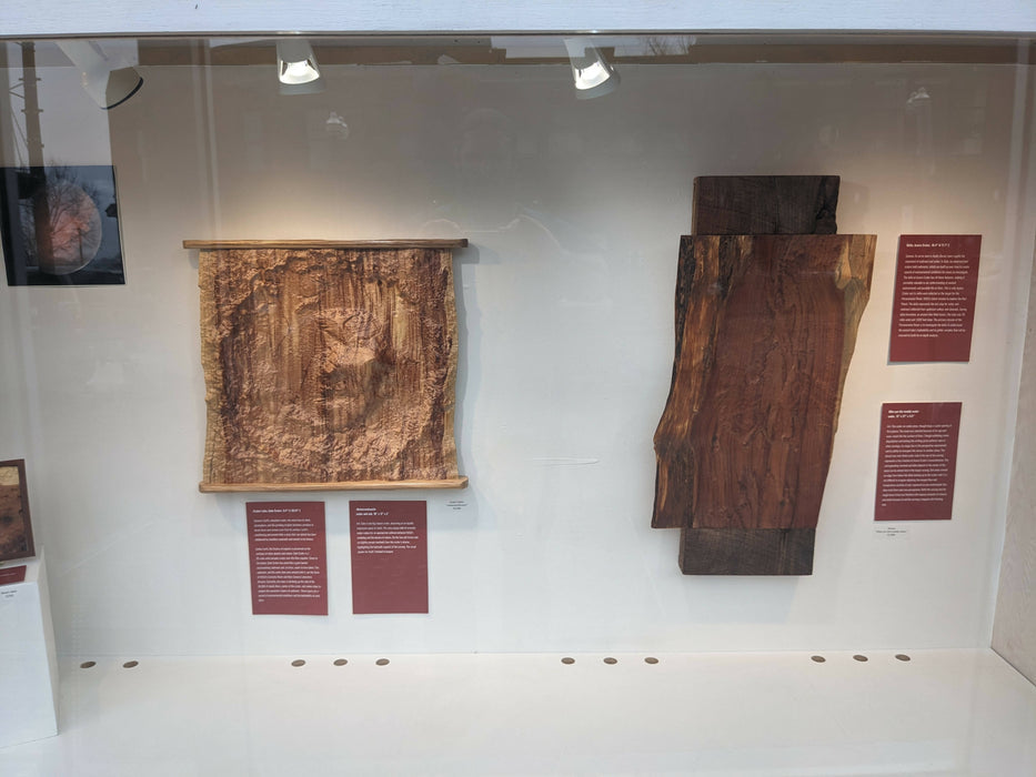 Mars Gale Crater Carving in Cedar
