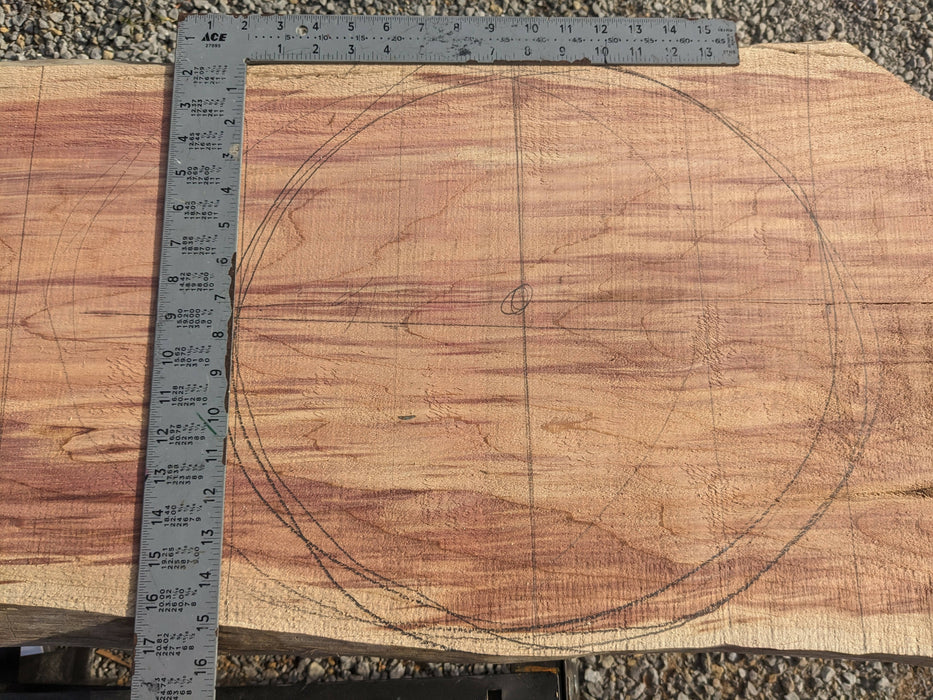 Mars Gale Crater Carving in Cedar