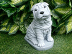 Shar-Pei Dog Concrete Statue 4.75 x 7 x 8" High