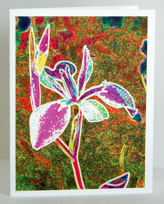 Blank Pop Art Note Card Set for the Gardener, Nature Lover or Art Lover