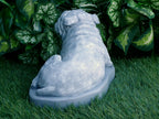 Bulldog Statue 5 x 10 x 6" high Concrete Statue