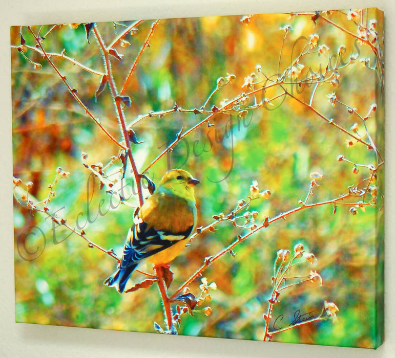 16x20 Canvas Photographic Art Bird or Dragonfly Wall Decor