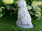 Cockapoo Concrete Statue 4.5x6.8.25" High