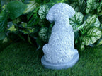 Cockapoo Dog 5 x 5 x 8.25" high Concrete Statue