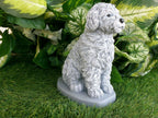Cockapoo Concrete Statue 4.5x6.8.25" High