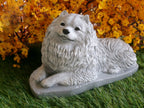 Keeshond Dog Concrete Statue 5x10x6" High