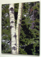 Flora and Fauna Photographic Art Gallery Wrapped Canvas Prints