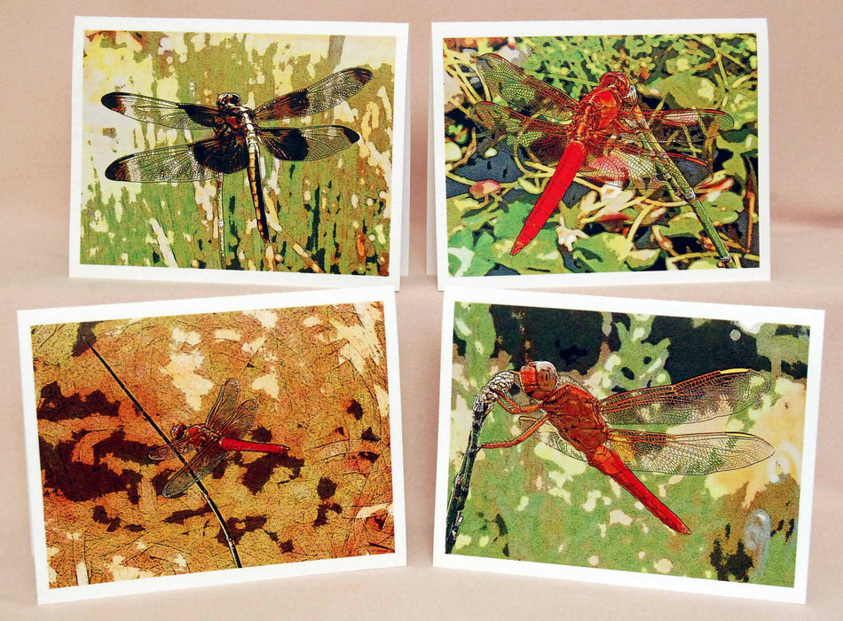 Dragonfly Photographic Art Prints