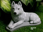 Concrete Husky Statue 11 x 5 x 7" High