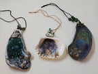 3 Resin Ocean Shell Ornaments in Gift Boxes