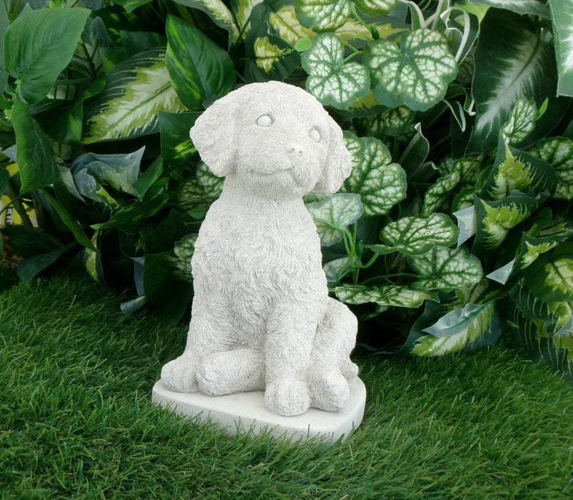Cockapoo Dog 5 x 5 x 8.25" high Concrete Statue